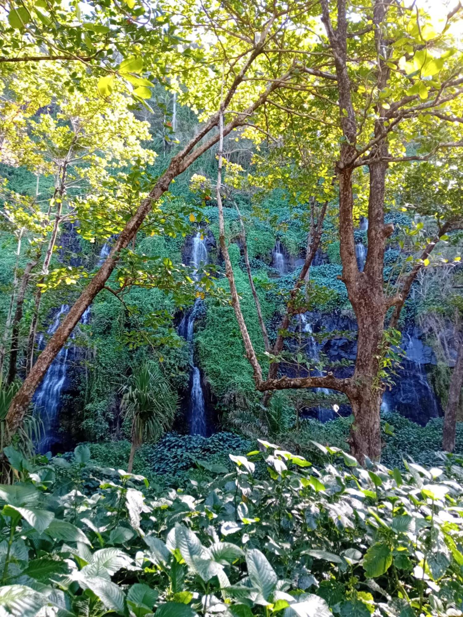 Bungalow L'Escale De Takamaka Saint-Benoît المظهر الخارجي الصورة
